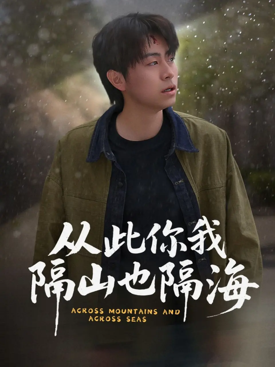 《从此你我隔山也隔海》：跨越时空的爱恋，一场关于距离与救赎的感人故事！